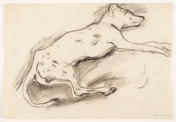 Chien à taches noires
