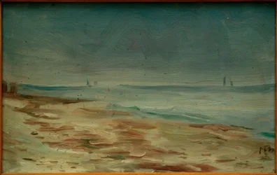 Plage, brun et gris