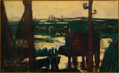 Mer des Wadden verte et noire-jaune
