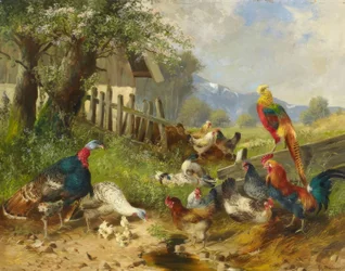 Idylle estivale avec des volailles