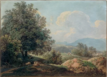 Paysage des Préalpes avec berger endormi