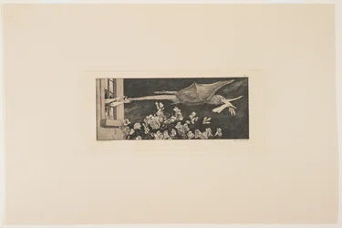 Enlèvement, 1881