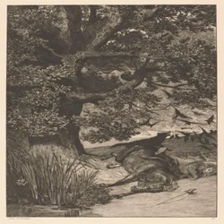 Cavalier tombé