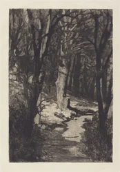 Dans la forêt