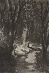 Dans la forêt, extrait de Drames, opus IX