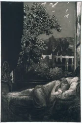 Nuit