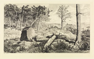 Simplicius dans la solitude de la forêt (Intermezzi, opus IV, planche 10)