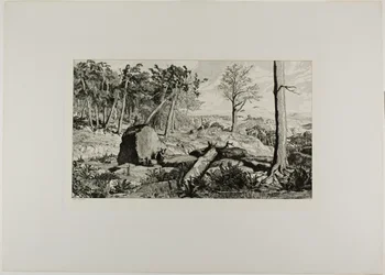 Simplicius dans la solitude de la forêt, planche dix de Intermezzos