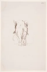 "Weg der Befleckung" - "Éléphant et chien renifleur"