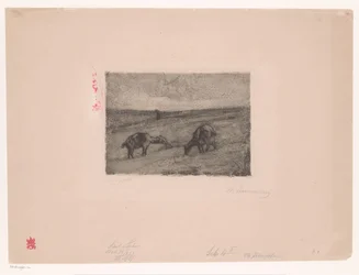 Paysage avec chèvres paissant