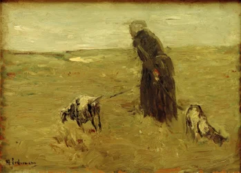 Vieille femme avec des chèvres