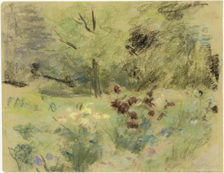 Fleurs et arbres