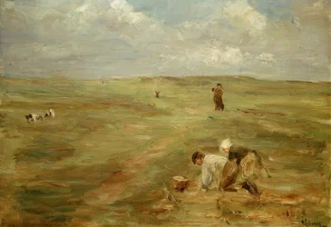 Ramasseurs de pommes de terre dans les dunes de Zandvoort