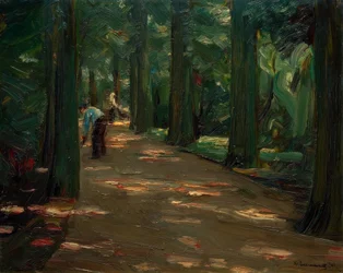 Allée ombragée