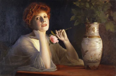 La belle rose
