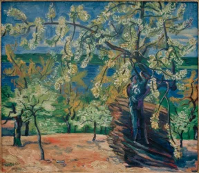 Cerisier en fleurs