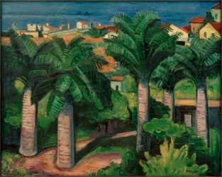 Palmiers à Collioure