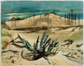 Forêt morte (dune de Lonske)
