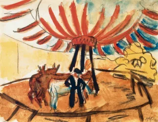 cirque