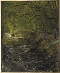 Un ruisseau forestier