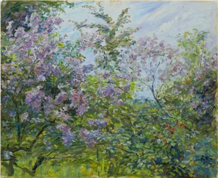 Lilas en fleurs