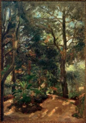 Tombe avec taches de soleil