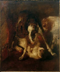 Chien jouant avec un chat