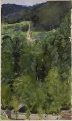 Église à Wildbad derrière les arbres