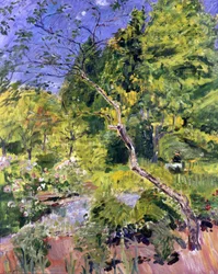 Parc dans le Palatinat (Neukastel)