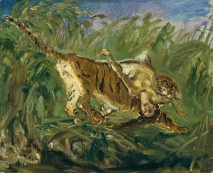 Tigre dans la jungle