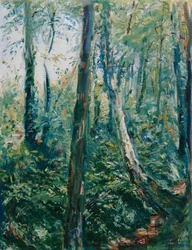 Chemin forestier