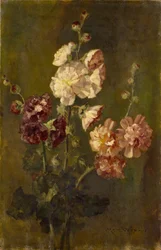 Roses trémières