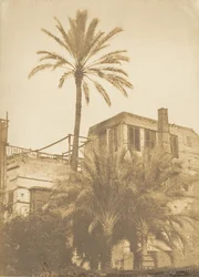 Dattiers et maison du quartier Franc, au Caire, décembre 1849-janvier 1850