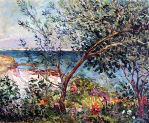 Le jardin de l