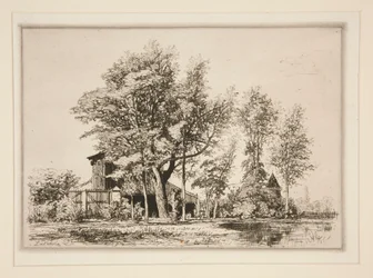 Acacias