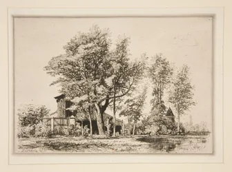 Acacias