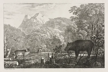 Sanglier, Chat sauvage et Lynx, 1807
