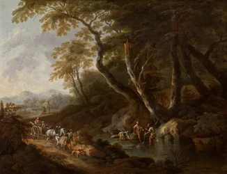 Paysage forestier avec plan d