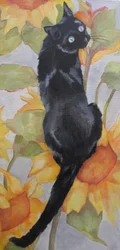 Chat noir parmi les tournesols