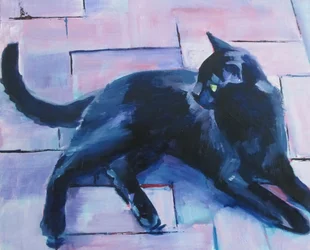 Chat noir, sol violet