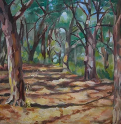 Sentier forestier ombragé