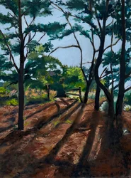 Sentier forestier, longues ombres
