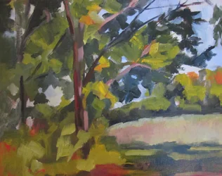 Lumière du soleil de la forêt verte
