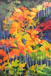Une forêt automnale aux couleurs chatoyantes