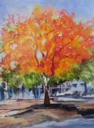 Un arbre aux couleurs chatoyantes en automne