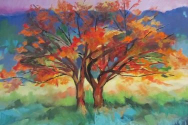 Les arbres aux couleurs chatoyantes de l