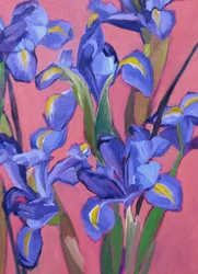 Des iris d