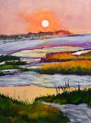 Coucher de soleil éclatant sur les marais