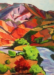Une rivière de montagne pleine de vie