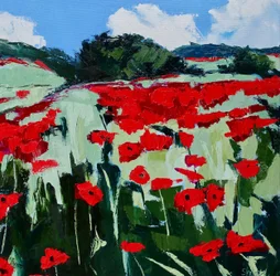 Un champ de coquelicots aux couleurs éclatantes